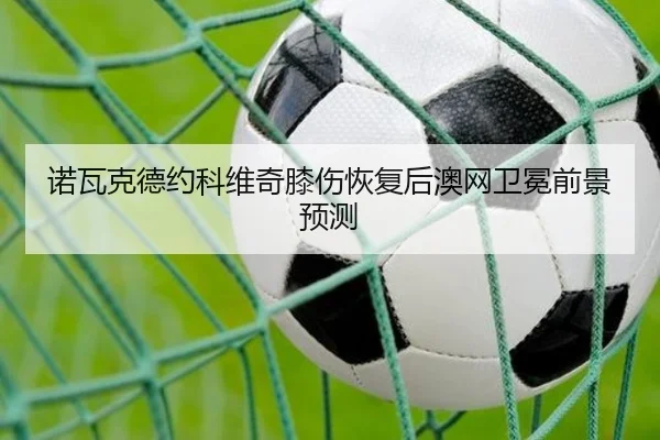 诺瓦克德约科维奇膝伤恢复后澳网卫冕前景预测